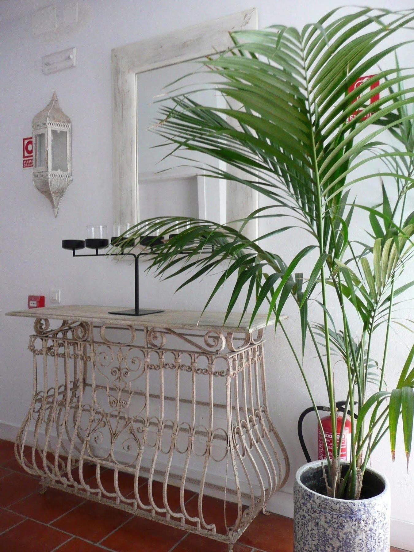 Benali Guest House Tarifa Esterno foto